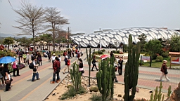 Resize of IMG_7133.JPG
